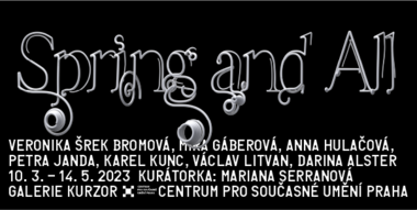grafika: Jan Brož